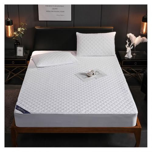 Water Proof Mattress Protector (4x6 White)